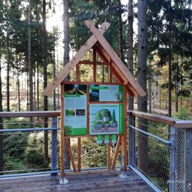 Eine Lehrtafel mit Informationen zur einheimischen Flora und Fauna, beim Heide Himmel - Baumwipfelpfad in 21271 Nindorf