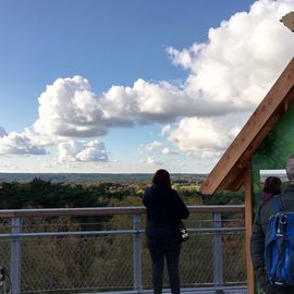 Noch ein Aussichtspunkt des Heide Himmel - Baumwipfelpfad in 21271 Nindorf