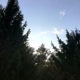 Schönes Herbstwetter am Heide Himmel - Baumwipfelpfad in 21271 Nindorf