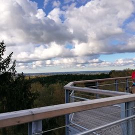 Schöne Aussicht vom Heide Himmel - Baumwipfelpfad in 21271 Nindorf 