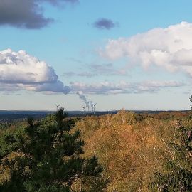 Schöne Aussicht des Heide Himmel - Baumwipfelpfad in 21271 Nindorf im Herbst 2019
