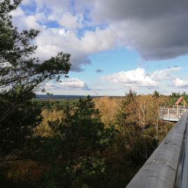 Schöne Aussicht, weit und fern, Richtung Hamburg vom Heide Himmel - Baumwipfelpfad in 21271 Nindorf