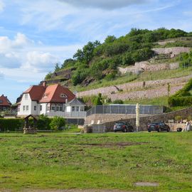 WeinReich Elbweinevents Katharina Lai in Diesbar Seußlitz Gemeinde Nünchritz