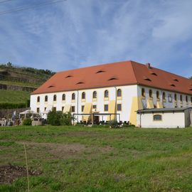 WeinReich Elbweinevents Katharina Lai in Diesbar Seußlitz Gemeinde Nünchritz