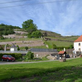 WeinReich Elbweinevents Katharina Lai in Diesbar Seußlitz Gemeinde Nünchritz