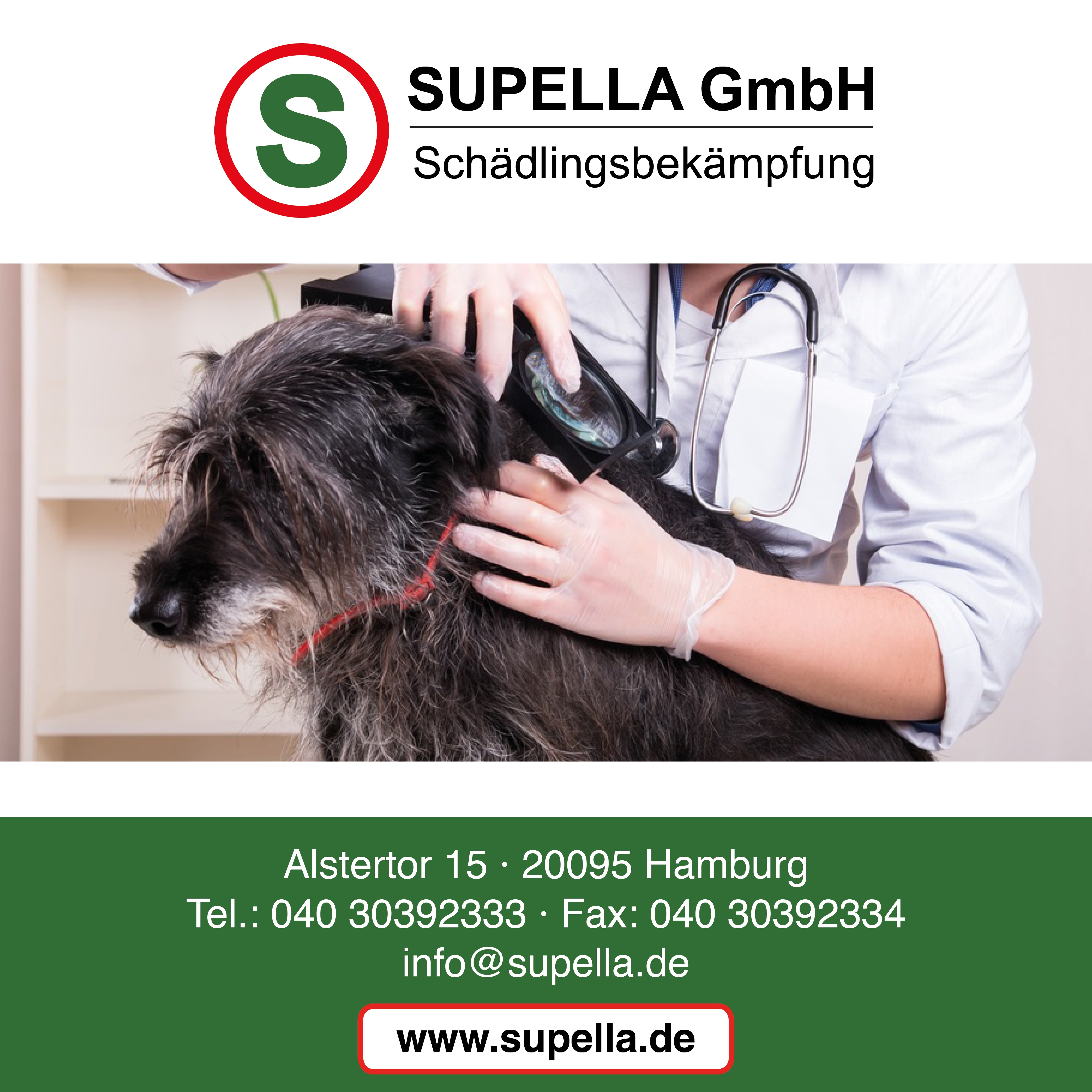 Bild 2 Supella GmbH Schädlingsbekämpfung in Hamburg