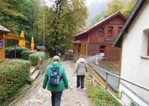 Bild zu Gasthaus Königsruhe