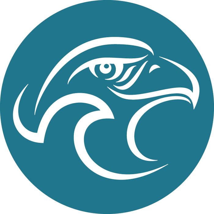 Logo Kitesurfschule – Eagle Kite