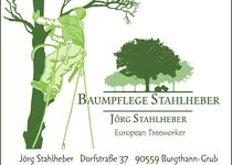 Bild zu Stahlheber Baumpflege