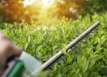 Bild zu Jonas Brodmann Garten- & Landschaftsbau