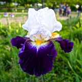 Planten un Blomen in Hamburg