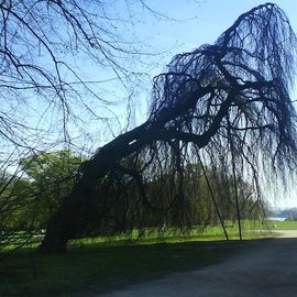 Jenischpark in Hamburg