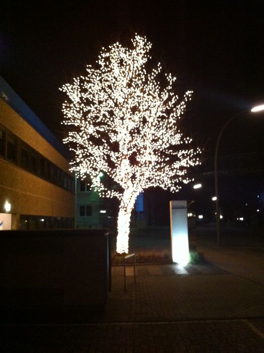 Dieser Dezemberbaum ist so, nur vom 1. Dezember bis Silvester zu sehen! Das restliche Jahr ist es hier duster, wie überall... ;o)