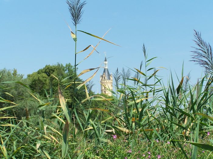 Nutzerbilder Schlossmuseum