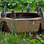 Pinguinbrunnen im Stadtpark in Hamburg