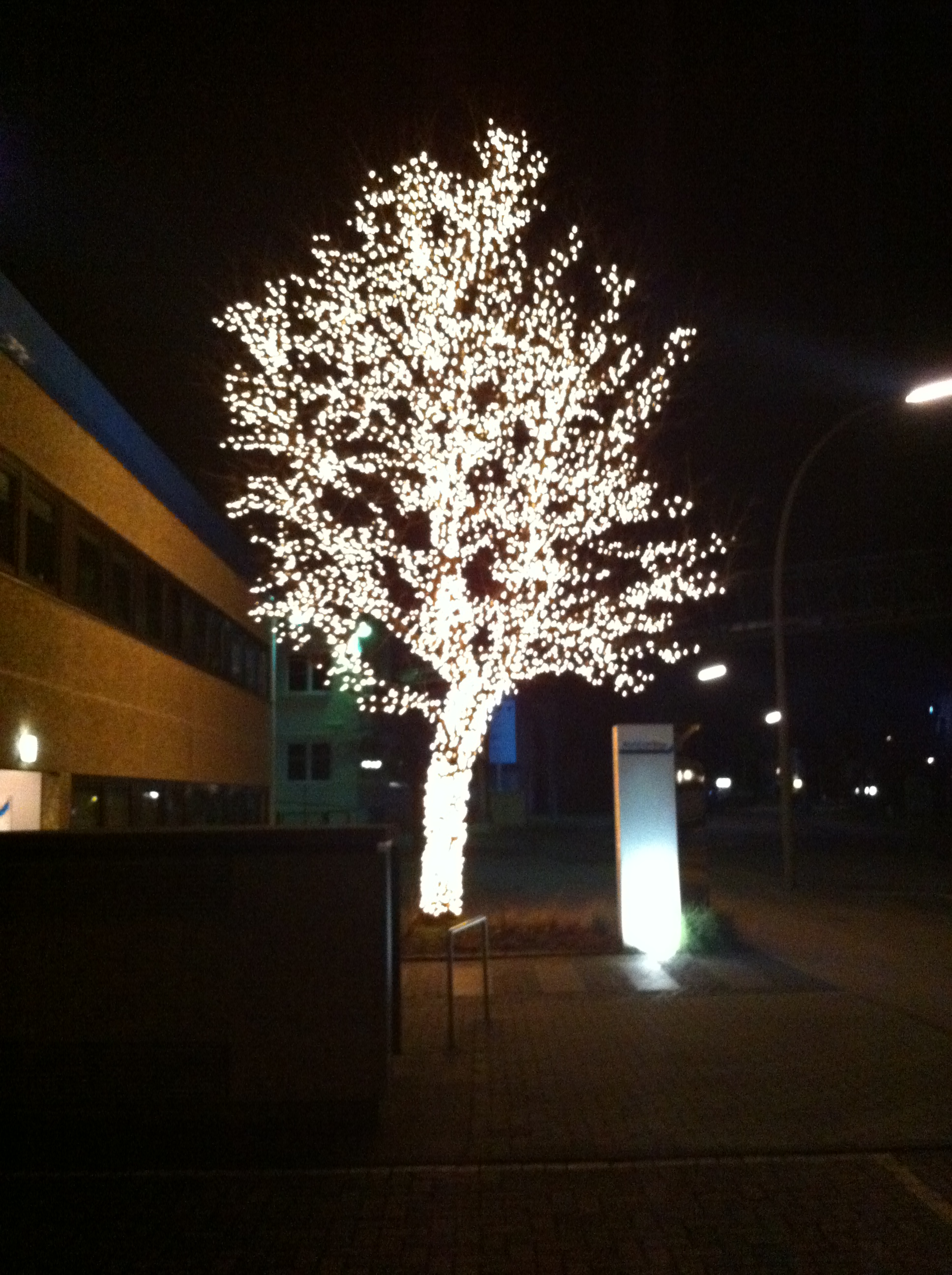 Dieser Dezemberbaum ist so, nur vom 1. Dezember bis Silvester zu sehen! Das restliche Jahr ist es hier duster, wie &uuml;berall... ;o)