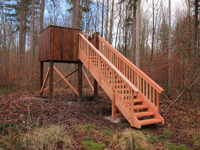 Treppe am Wildtierturm im Augsburger Stadtwald