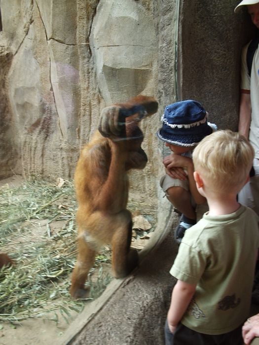 Nutzerbilder Marché Patakan (im Zoo Leipzig)