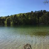 Stechlinsee in Stechlin