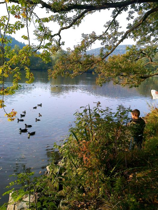 Der Greizer Park mit Parksee 