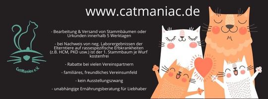 Bild zu CatManiac e.V.