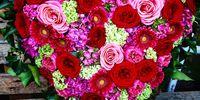 Nutzerfoto 3 Blüh auf! Marina Frühauf Blumengeschäft