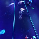 Glowingrooms 3D Schwarzlicht Minigolf in Dresden