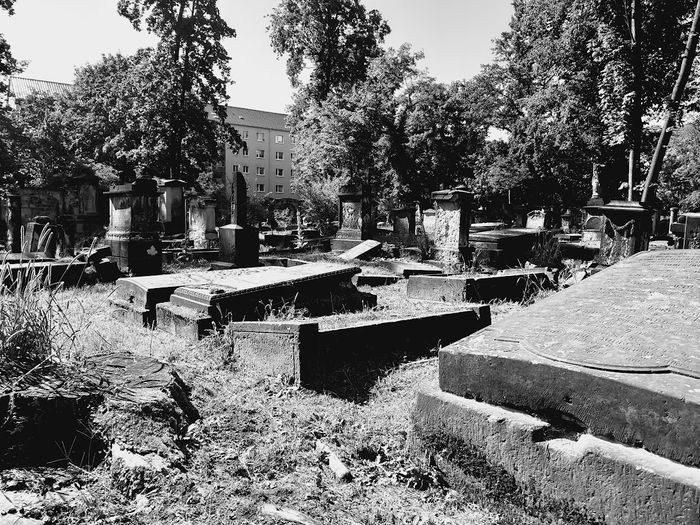 Nutzerbilder Friedhof Kirchlich Johannisfriedhof