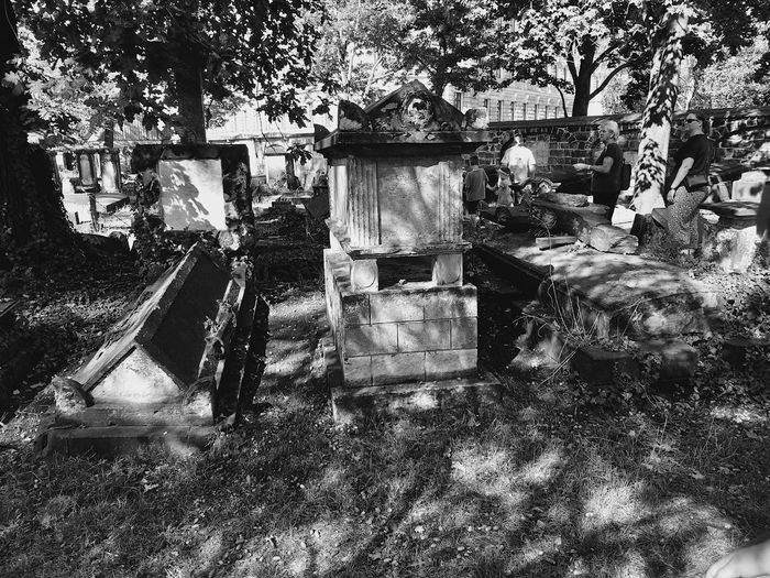 Nutzerbilder Friedhof Kirchlich Johannisfriedhof