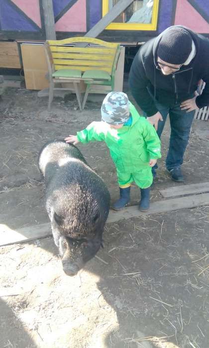 Kinder- u. Jugendfarm Spielwiese