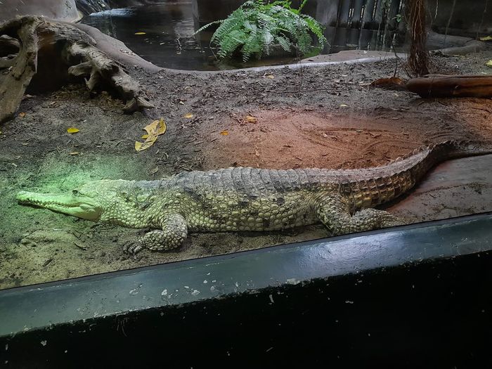 Aquazoo-Löbbecke Museum Düsseldorf