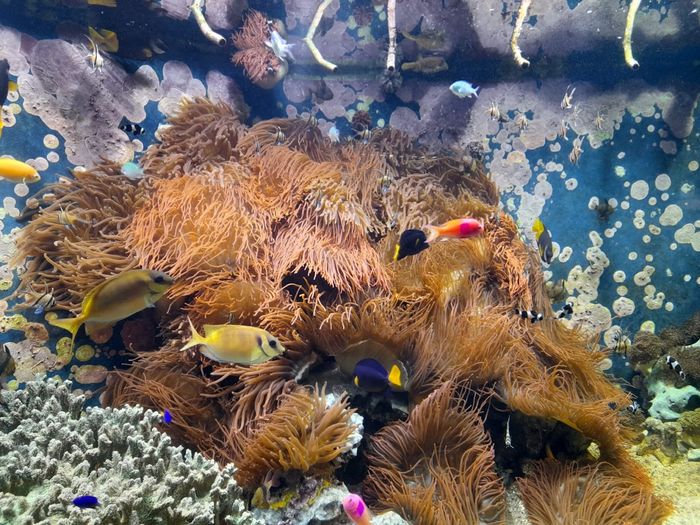 Aquazoo-Löbbecke Museum Düsseldorf