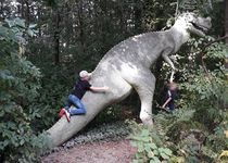 Bild zu Saurierpark Kleinwelka Am Saurierpark