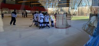 Bild zu Eissporthalle Charlottenburg PO9