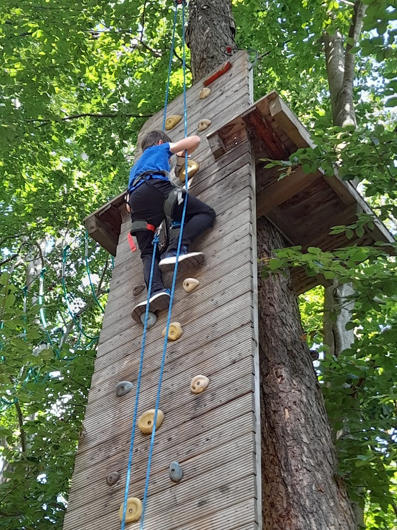 Bild 6 Kletterwald Kriebstein in Mittweida