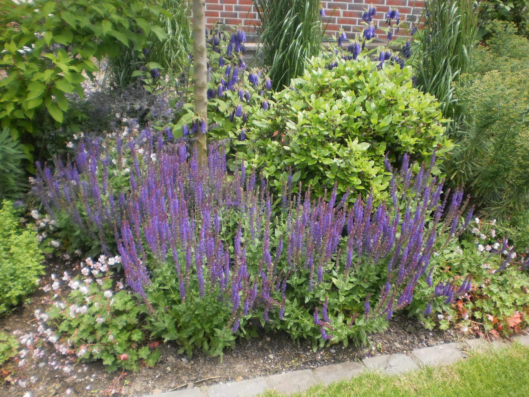 Bild 7 Garten- u. Landschaftsbau Hoffmann Uwe in Viersen