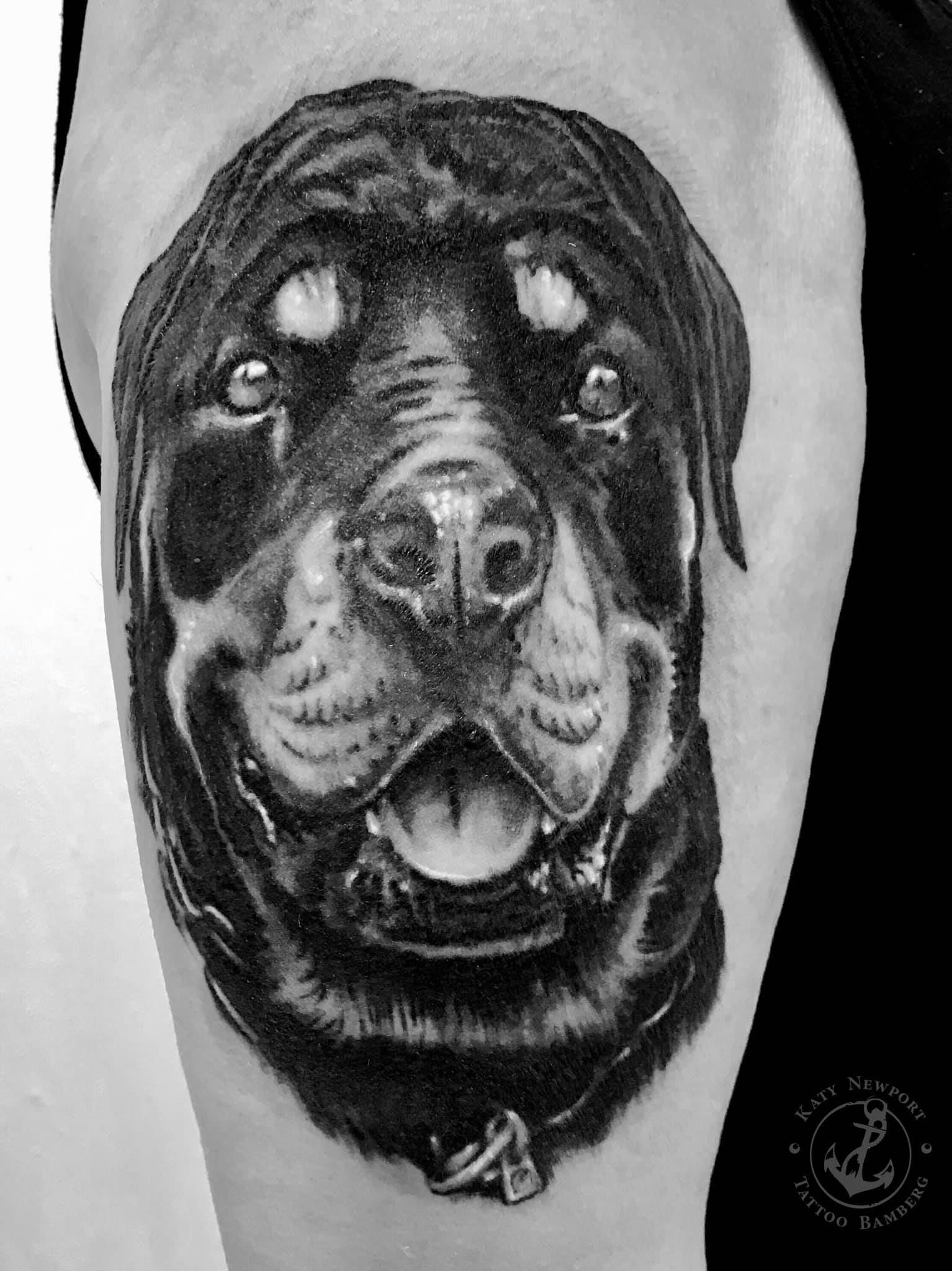 Katy Newport Tattoo Bamberg: Hundeporträt Rottweiler