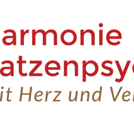 Harmonie Katzenpsychologie in Werther in Westfalen