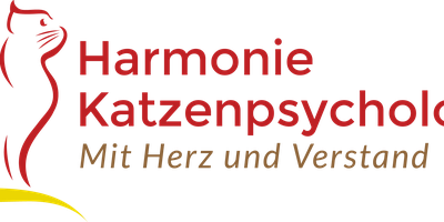 Harmonie Katzenpsychologie in Werther in Westfalen