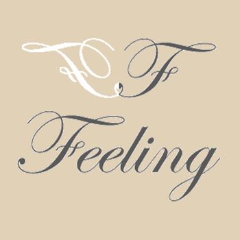 Logo von Feeling Festmode und Brautstudio - Monika Brochhausen in Greifswald