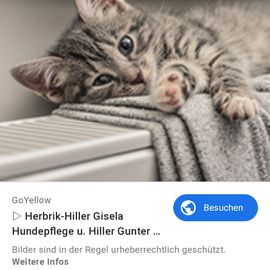 Herbrik-Hiller Gisela Hundepflege , Hiller Gunter in Affstätt Stadt Herrenberg