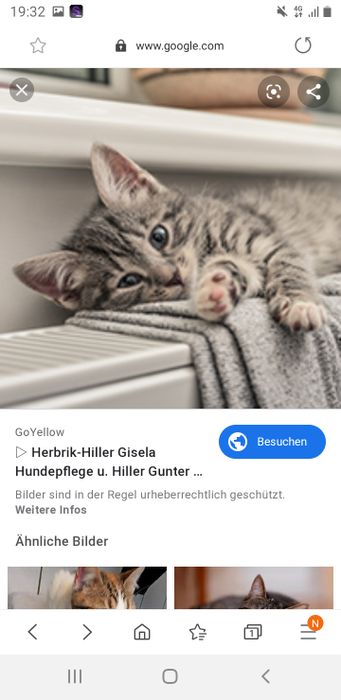Nutzerbilder Herbrik-Hiller Gisela Hundepflege, Hiller Gunter