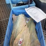 ISB Seafood GmbH Fischgroß- und -einzelhandel in Solingen