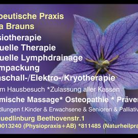 Brauns Ilisa Physiotherapie in Quedlinburg