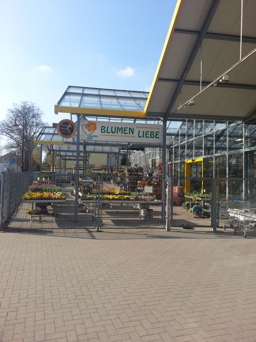 Blumen Liebe Inh. Petra Völker Pflanzenfachmarkt