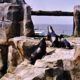 Zoo Am Meer in Bremerhaven