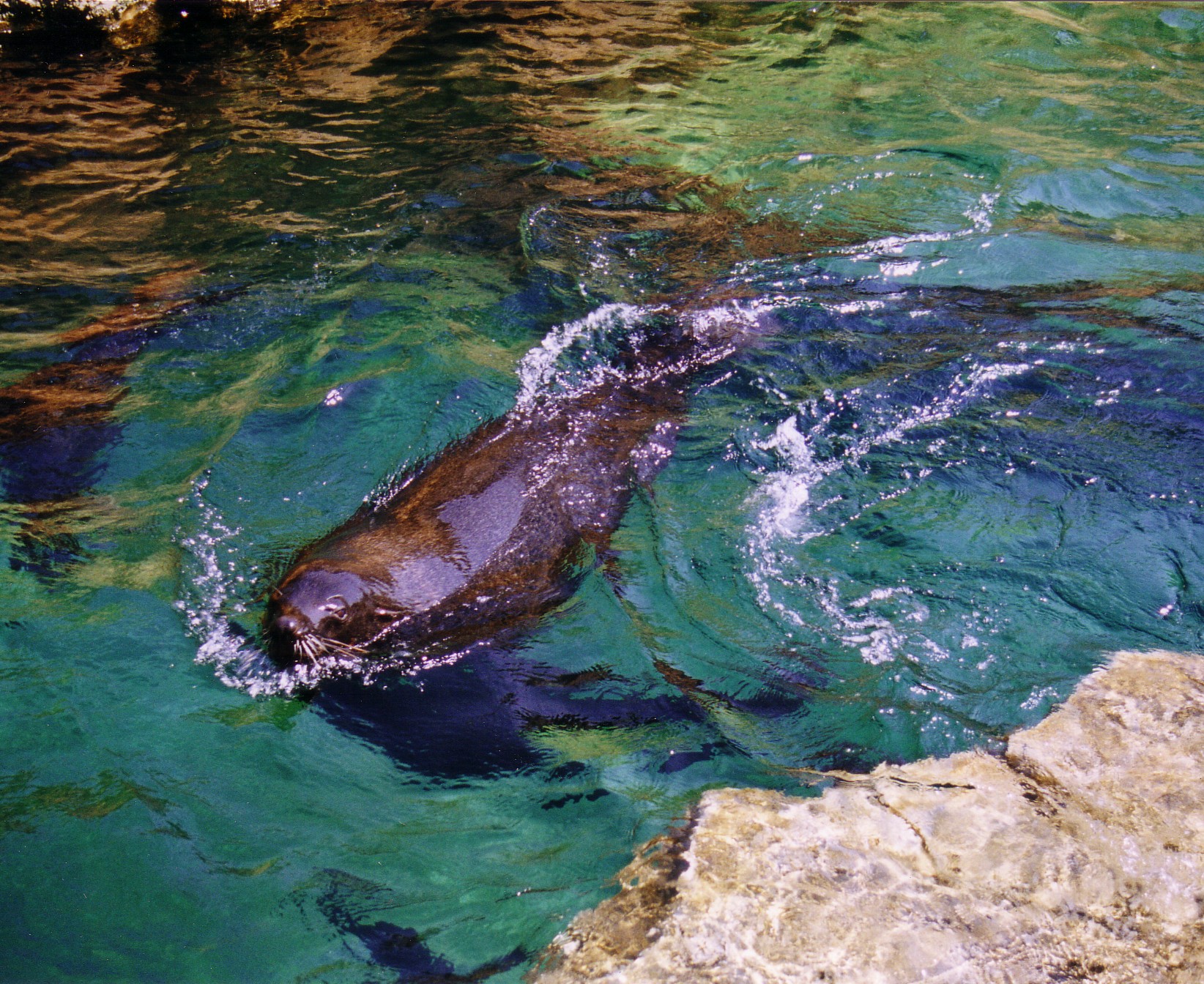 Bild 54 Zoo Am Meer in Bremerhaven