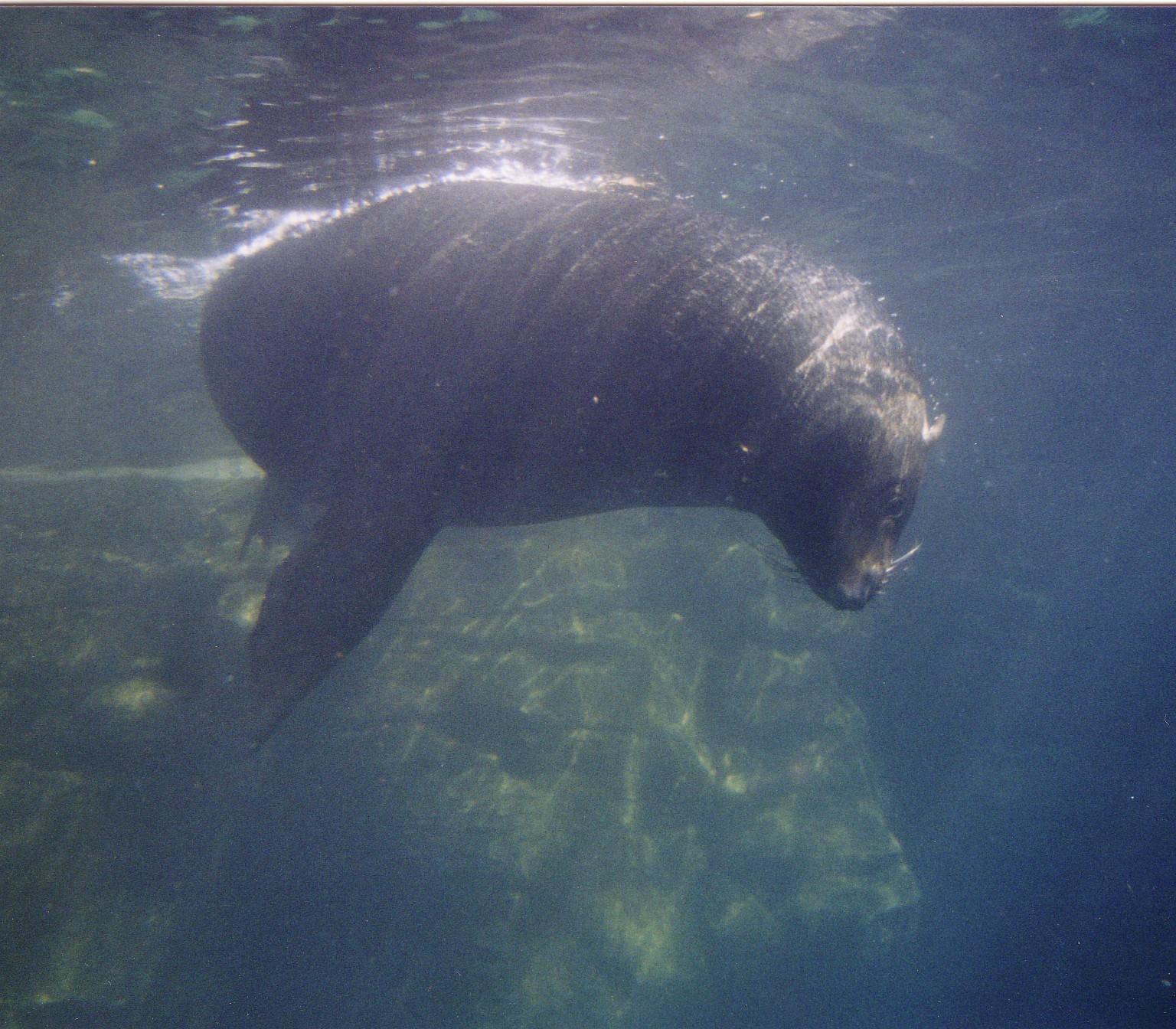 Bild 57 Zoo Am Meer in Bremerhaven