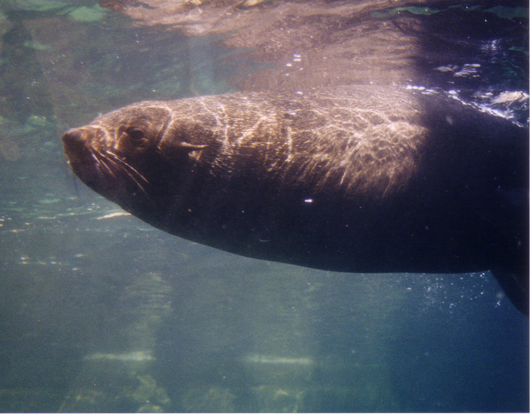 Bild 58 Zoo Am Meer in Bremerhaven