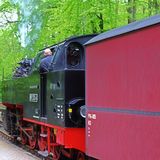 Mecklenburgische Molli Bahn in Ostseebad Kühlungsborn